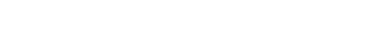 AION V